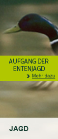 Aufgang der Entenjagd