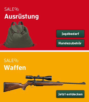 Ausr&uuml;stung, Waffen