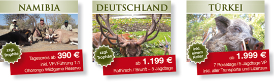 Angebote
